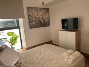 a bedroom with a bed and a flat screen tv at GARDEN HOUSE Madrid in Madrid