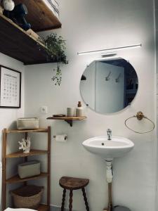 een badkamer met een wastafel en een spiegel bij Maisonnette individuelle au coeur de Vernon in Vernon