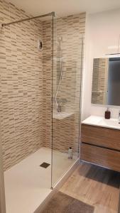 W łazience znajduje się szklana kabina prysznicowa i umywalka. w obiekcie Le gîte des Prémontrés w mieście Pont-à-Mousson