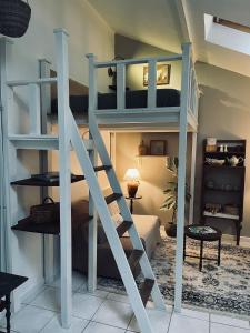 een stapelbed met een ladder in een kamer bij Maisonnette individuelle au coeur de Vernon in Vernon