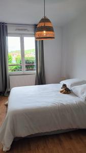 pies leżący na łóżku w sypialni w obiekcie Le gîte des Prémontrés w mieście Pont-à-Mousson