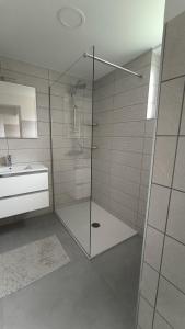 a bathroom with a glass shower and a sink at Sava river house - apartments in Bled