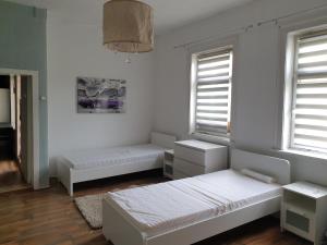 a white room with two beds and two windows at Einfache Monteurwohnung in Bleicherode in Bleicherode