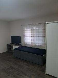 TV a/nebo společenská místnost v ubytování Apartman u lesa