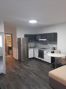 Kuchyň nebo kuchyňský kout v ubytování Apartman u lesa