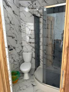 een badkamer met een toilet en een douche bij Pokoje i apartamenty Aga Centrum in Wisła