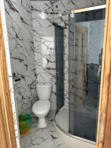 a bathroom with a toilet and a shower at Pokoje i apartamenty Aga Centrum in Wisła