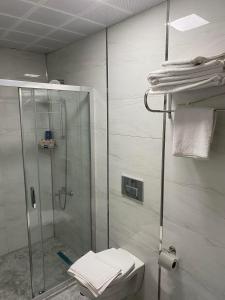 łazienka z prysznicem i toaletą w obiekcie Aslan Airport Hotel w mieście Arnavutköy