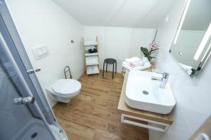 een witte badkamer met een wastafel en een toilet bij Z&A Studio apartment with parking in Božava