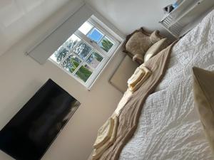 TV a/nebo společenská místnost v ubytování Traumwohnung mit eigenem Spa