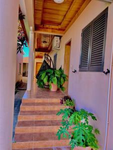 a staircase leading to a house with potted plants at Mapunda House in Lubango