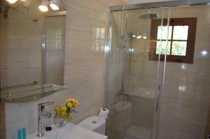 y baño con ducha, lavabo y aseo. en Galeón Ossorio Vistas Panoramicas, en Vallehermoso