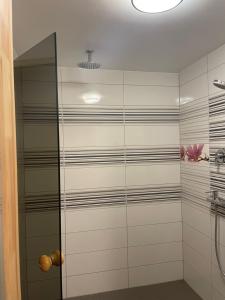 uma casa de banho com um chuveiro com riscas pretas e brancas em Baltic retreat house em Ventspils