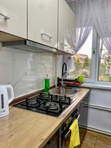 een keuken met een fornuis top oven naast een raam bij Mainstreet Apartments Suceava in Suceava