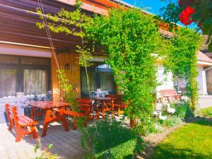 a patio with a table and chairs in a yard at Pensiunea Keisd in Saschiz