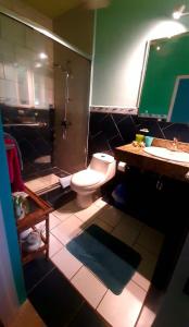 a bathroom with a toilet and a shower and a sink at Down By The Sea, the beachfront Apartment in Puerto Coyote