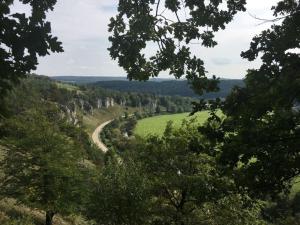 - une vue depuis le sommet d'une colline plantée d'arbres dans l'établissement "Zum Kirchenschuster", à Schernfeld