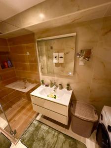 a bathroom with a sink and a mirror and a shower at Holiday Home Nautica in Kotor