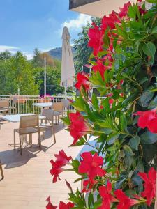 un arbusto con flores rojas, mesa y sillas en Bed & Breakfast Bellagio, en Bellagio