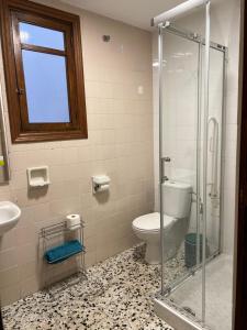 ein Bad mit einem WC und einer Glasdusche in der Unterkunft Almendra A Vitalba Apartments in Lanjarón