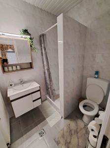 La salle de bains est pourvue de toilettes blanches et d'un lavabo. dans l'établissement István Apartmanok, à Keszthely