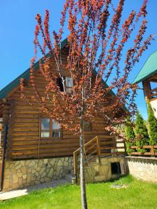 a tree in front of a log cabin at Zlatar Luxury Chalet - TRACE OF NATURE 2214 in Nova Varoš