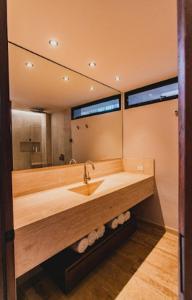 La salle de bains est pourvue d'un lavabo et d'un grand miroir. dans l'établissement Hacienda Las Flores Valle de guadalupe, à El Porvenir