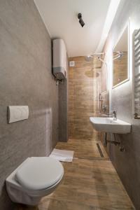 bagno con servizi igienici e lavandino di Apartmani 8 Beograd a Jajinci