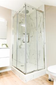 ルマンにあるLe Zen - Superbe logement - Centre - Tram - Gareのバスルーム(ガラス張りのシャワー付)が備わります。 +6枚の写真