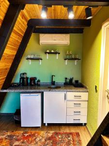 a kitchen with white appliances and green walls at Joy Sapanca in Sapanca