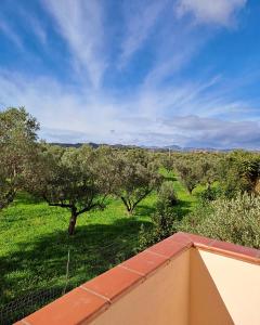- une vue depuis le toit d'une maison arborée dans l'établissement Casa torelli azzurro, à Sellia Marina 7 autres photos