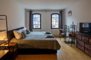 a bedroom with a bed and a tv and windows at Urban Living unter den Dächern der Göttinger Altstadt in Göttingen