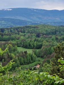 a small house in the middle of a field of trees at Majcia in Jelenia Góra