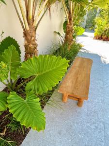a wooden bench sitting next to some plants at Bali Poshtel in San Juan
