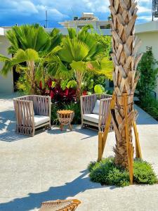 two chairs and a palm tree on a patio at Bali Poshtel PR in San Juan