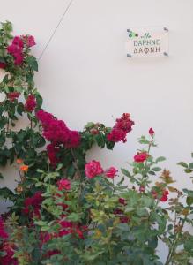 Ein paar Blumen an einer Wand mit einem Schild in der Unterkunft Impressive Platanias Villa Villa Bulma 2 Bedrooms Private Pool in Platanias