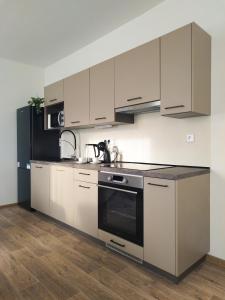 Kuchyň nebo kuchyňský kout v ubytování Morava apartmán 4 Uherské Hradiště Šafaříkova 855