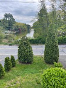 a group of bushes in front of a street at Connecticut Lake House in Bridgeport