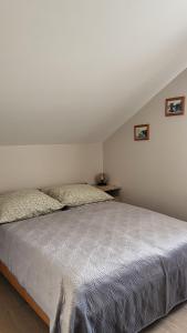 een slaapkamer met een groot bed in een kamer bij Domek u Eli in Solec-Zdrój