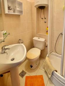 a bathroom with a toilet and a sink and a shower at Boris Apartments in Petrovac na Moru