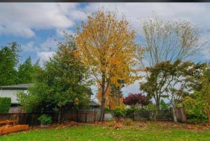 a yard with a tree with yellow leaves at Sabrina's Home in Delta +5 photos