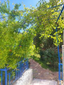 an arbor with a blue fence in a garden at Maison Touria in Ouzoud