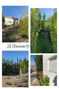 a collage of photos of plants and a house at La Arbolada in Puerto San Julian