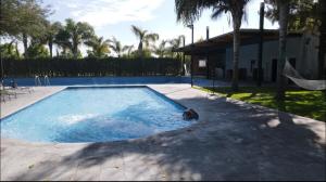 una piscina con un perro tirado en el agua en Hotel EL Porvenir 