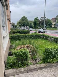 Κήπος έξω από το OnThePoint, Erdgeschoss, Abstellplatz für Fahrräder, City und Innenhafen 5 Gehminuten!!!