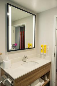 Tru By Hilton Cedar Rapids Westdale的一间浴室