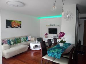 Televízia a/alebo spoločenská miestnosť v ubytovaní Apartament B & S - Free Garage Parking