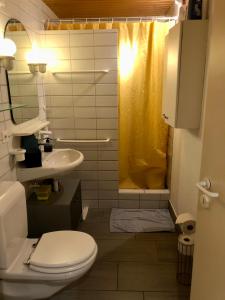 ein Bad mit einem WC, einem Waschbecken und einer Dusche in der Unterkunft Bezauberndes Gartentiny in Steffisburg