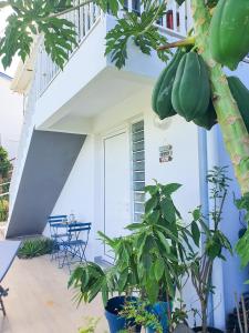 Zahrada ubytování Studio Chez Anna - vue mer et piscine