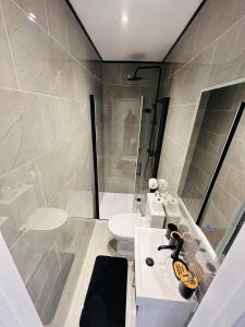 W łazience znajduje się prysznic, toaleta i umywalka. w obiekcie R-1 Newly renovated En-Suite Self contained Private Room in Selly Oak Birmingham w Birmingham